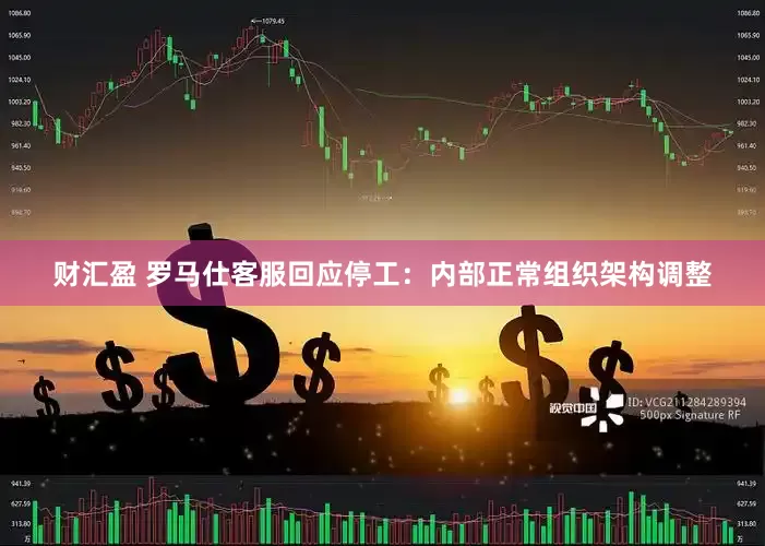 财汇盈 罗马仕客服回应停工：内部正常组织架构调整