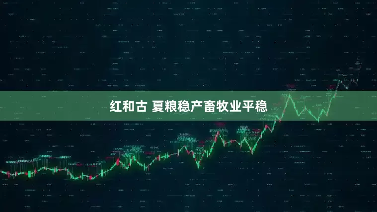 红和古 夏粮稳产畜牧业平稳