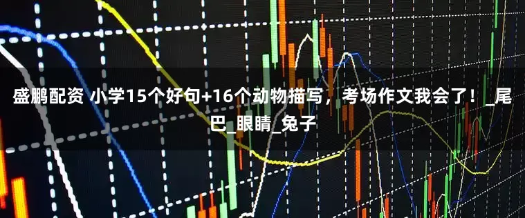盛鹏配资 小学15个好句+16个动物描写，考场作文我会了！_尾巴_眼睛_兔子