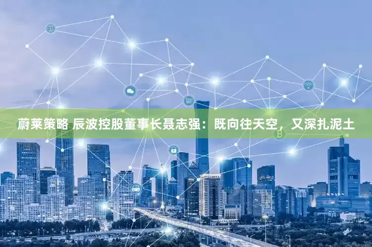 蔚莱策略 辰波控股董事长聂志强：既向往天空，又深扎泥土