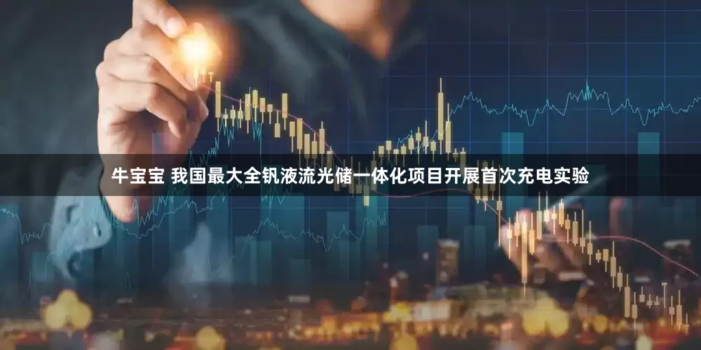 牛宝宝 我国最大全钒液流光储一体化项目开展首次充电实验
